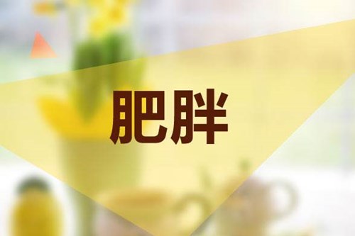 预防小儿肥胖症